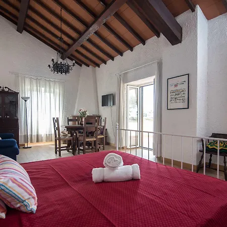 Degli Oleandri Bed & Breakfast Roma