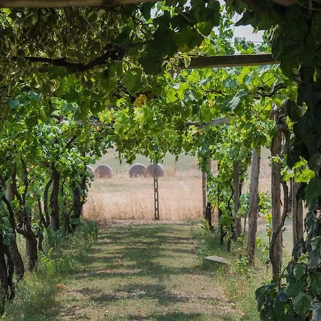 Degli Oleandri Bnb Rome